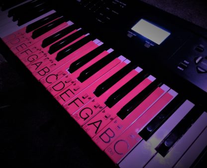 Educational Series Coral Pink - Image 5