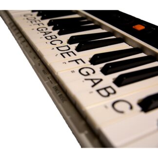 U-KEYS® - with Accessible Braille and Raise Tactile letter Easy to learn music overlay cover 15 white key Fit on a Casio tone Gift for blind